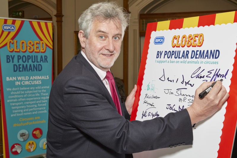 Clive Efford signs RSPCA pledge